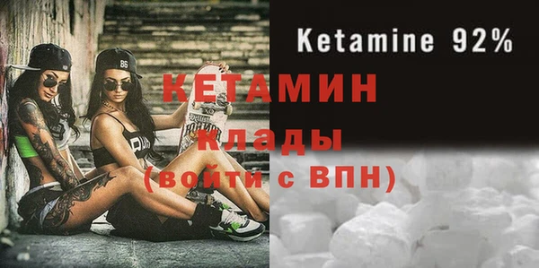 прущие грибы Мурманск